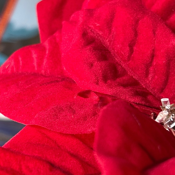 Balsam Hill Poinsettia 12 Set Picks Christmas Tree New - Picture 8 of 12